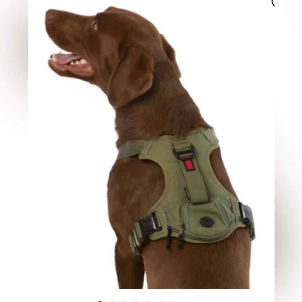 Kong harness. Green. Size medium.